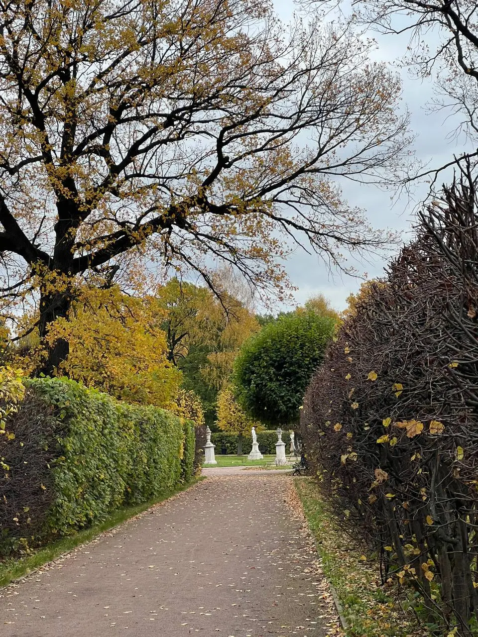 продолжаю ловить осень и исследовать Москву 🍂
выбиралась на прошлых выходных в Кусково, а на этих в Крылатское
оба места заслуживают внимания, но если нигде не были, то однозначно советую Кусково!!!
т... | Сетка — социальная сеть от hh.ru