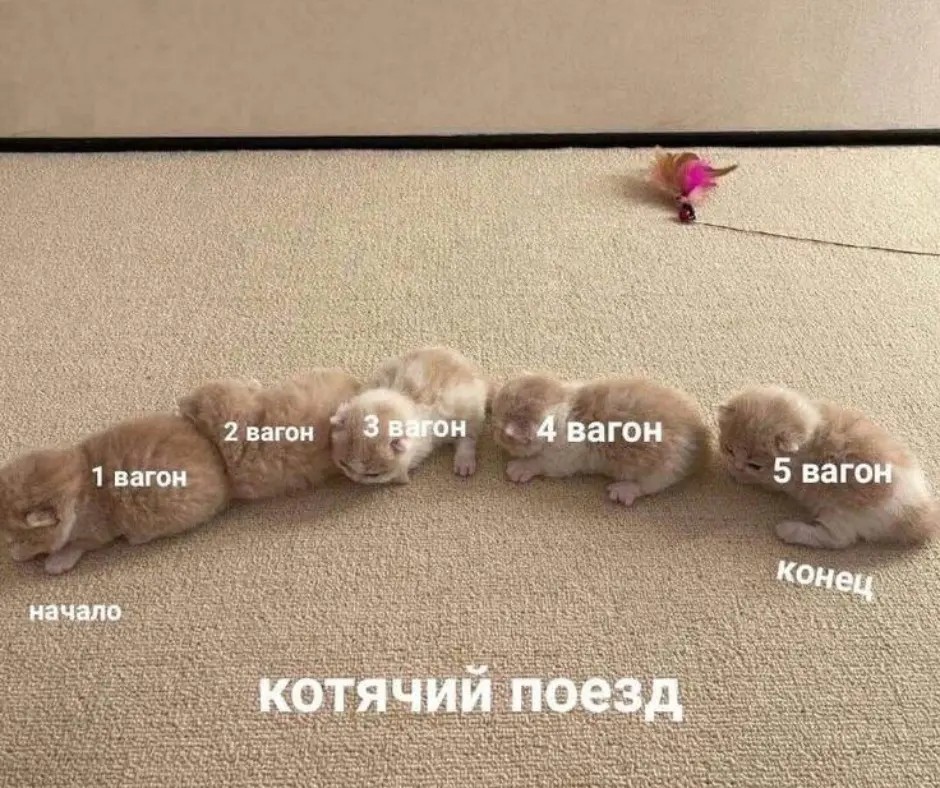 Ищу работу: день 28. | Сетка — социальная сеть от hh.ru