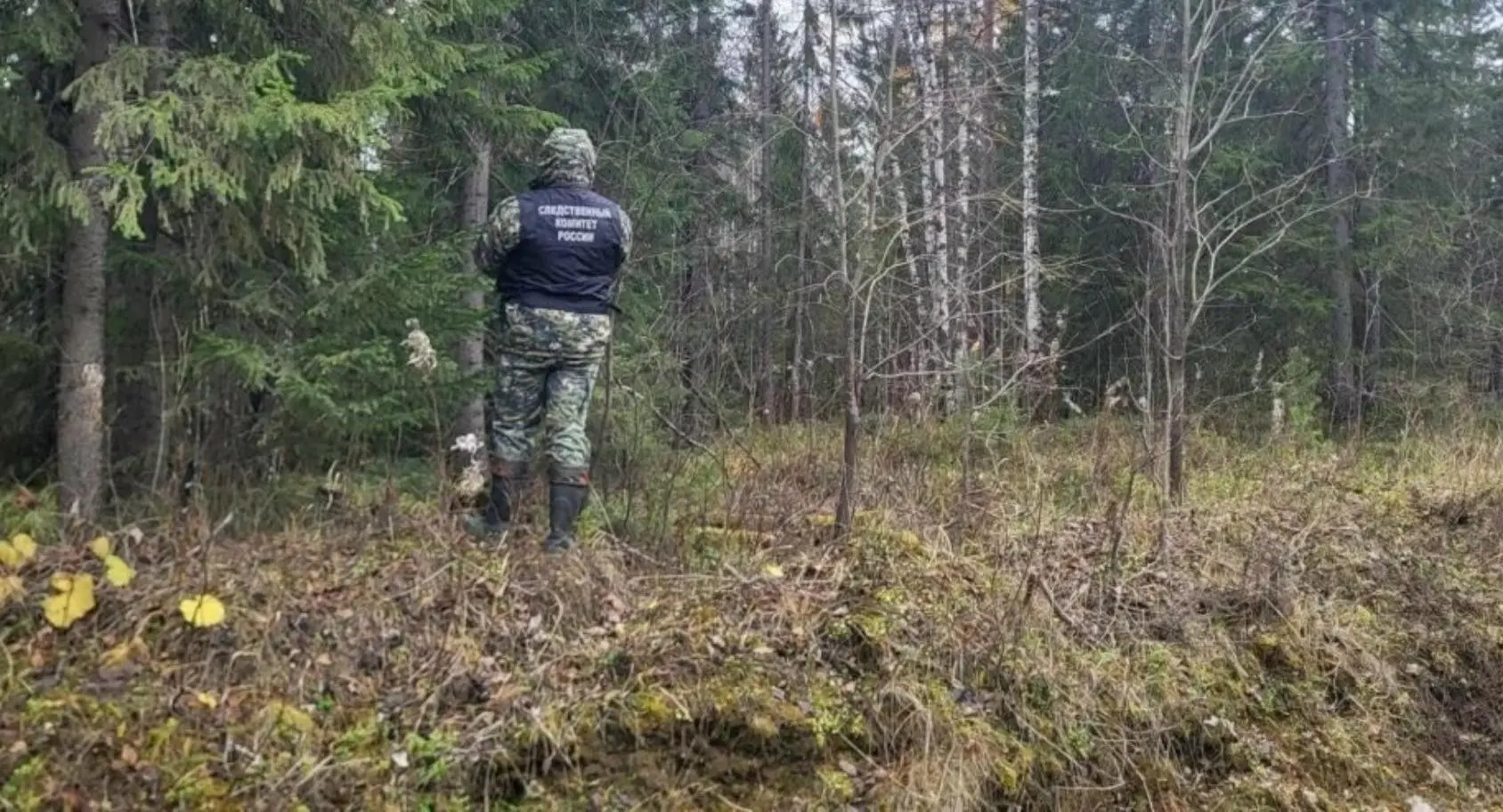 Медведь загрыз мужчину в Архангельской области 🐻🌲 | Сетка — социальная сеть от hh.ru
