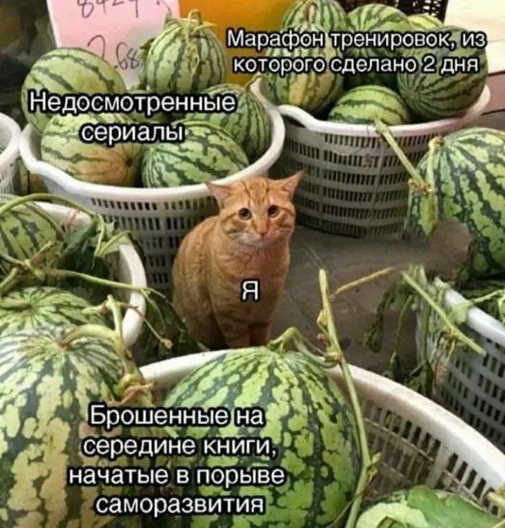 Дедлайны тут и там 😂
БЛОГ В ТГ / БЛОГ В MAX
#Юмор #Коты
В этом посте были ссылки, но мы их удалили по правилам Сетки | Сетка — социальная сеть от hh.ru