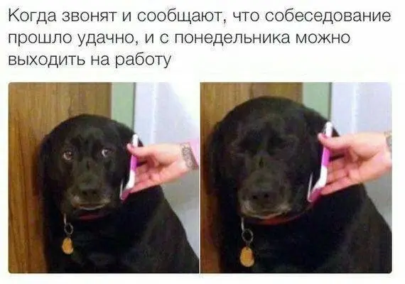 И весело, и грустно 😂
БЛОГ В ТГ / БЛОГ В MAX
#Юмор #Собака
В этом посте были ссылки, но мы их удалили по правилам Сетки | Сетка — социальная сеть от hh.ru