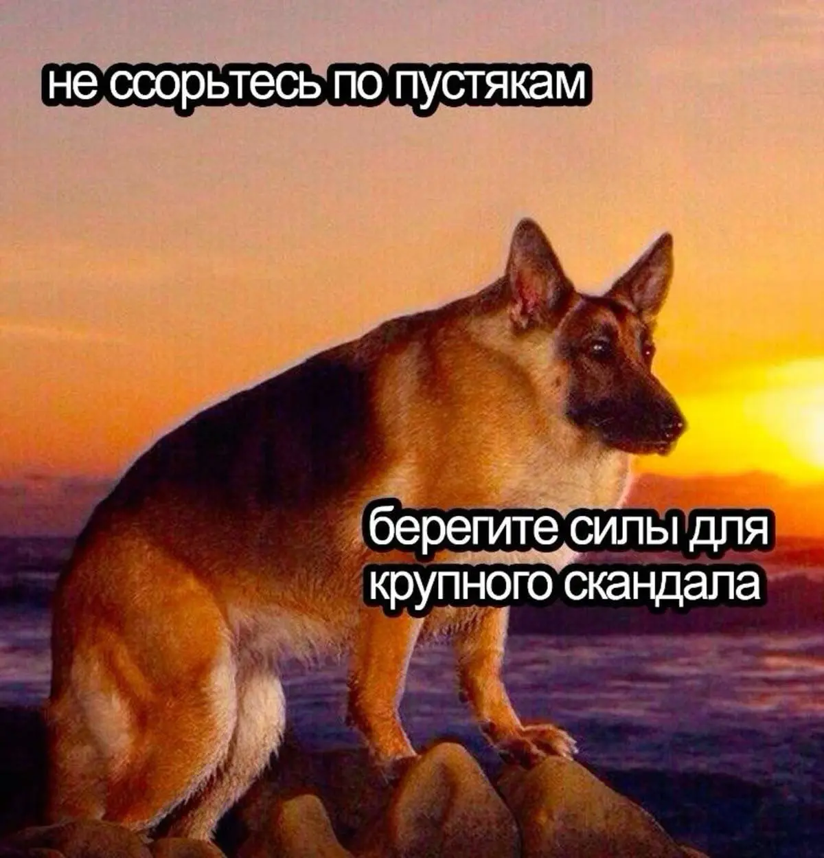 Основная сотрудница вышла из декрета. Временного уволили. А потом началось 👶
Работник трудился по срочному договору на месте сотрудницы, находившейся в отпуске по уходу за ребёнком | Сетка — социальная сеть от hh.ru