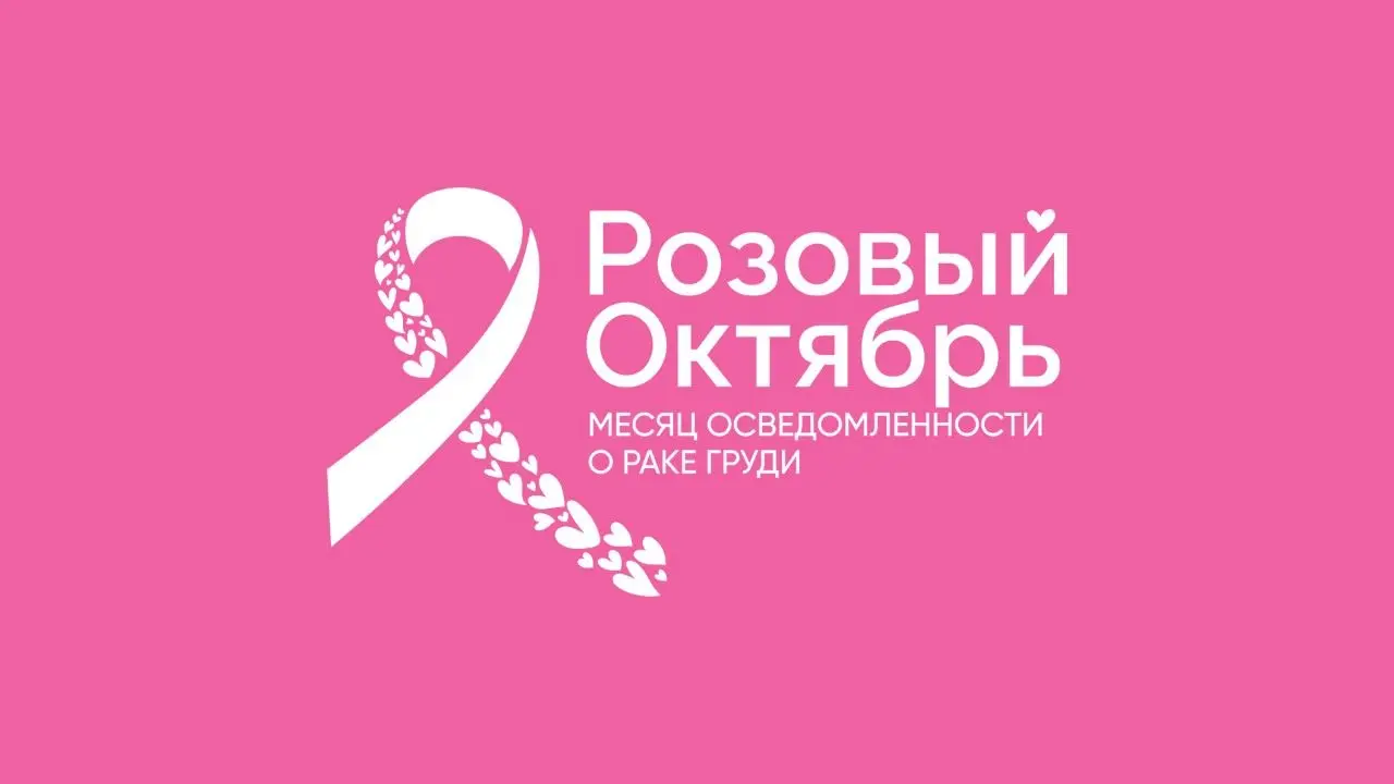 Наверное, сейчас от меня отпишется пачка людей, но в этом канале я пишу о важном для меня | Сетка — социальная сеть от hh.ru