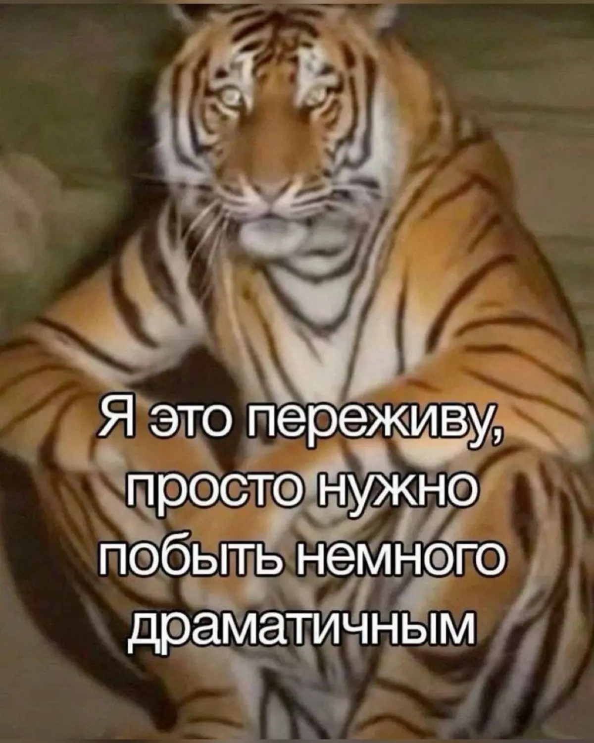 HR откажет кандидату с пустым резюме или напишет про сбой? | Сетка — социальная сеть от hh.ru