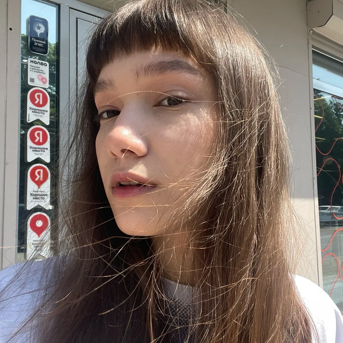 Network member avatar