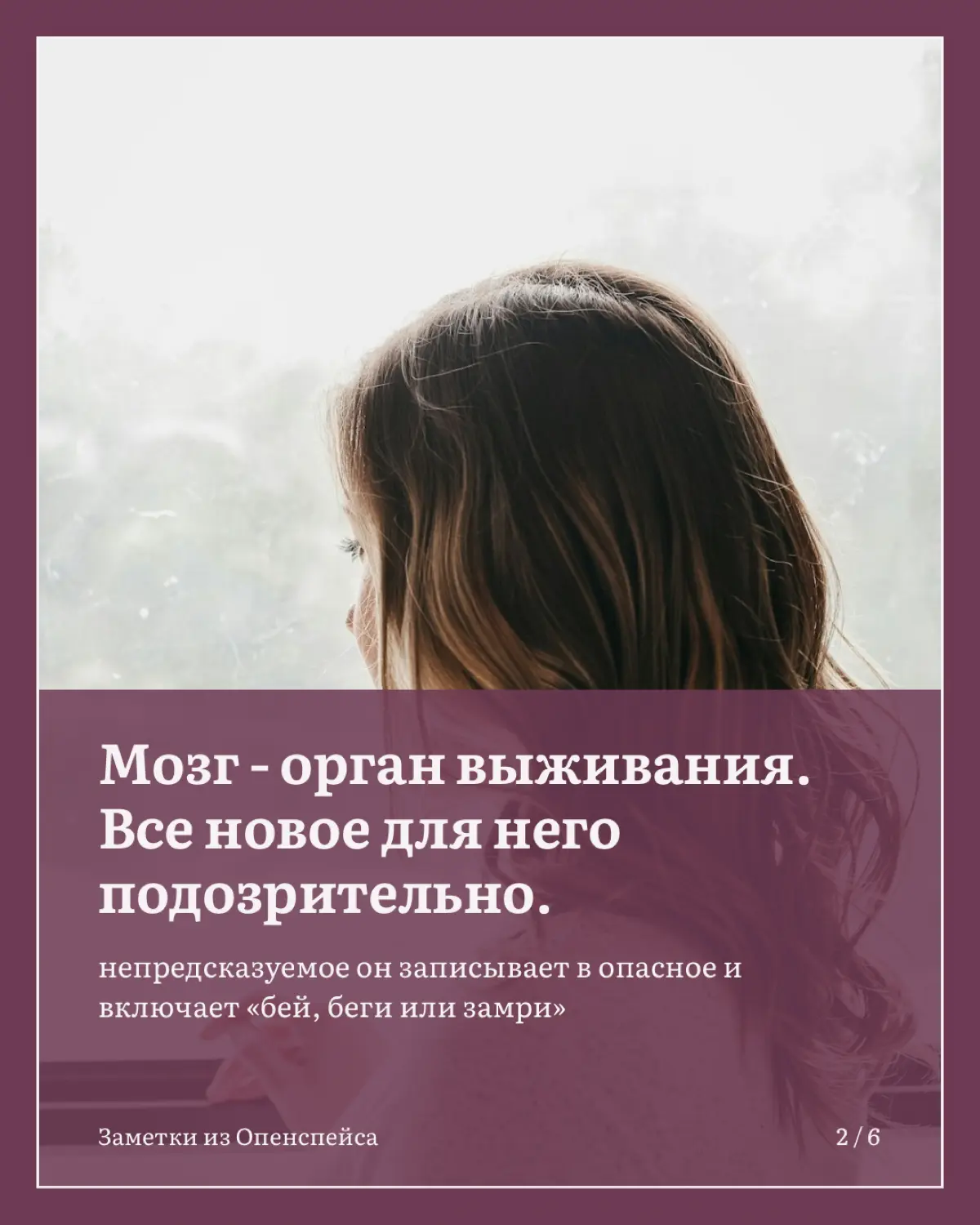 Страх начать новое: почему мы ждем идеального момента | Сетка — социальная сеть от hh.ru