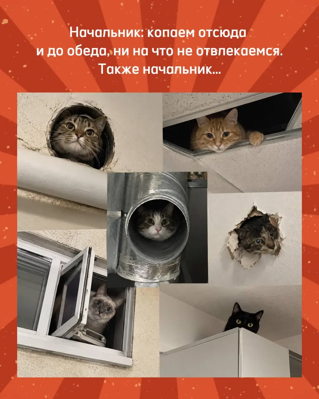 Не сходите с ума на работе
Сегодня на совещании поднимали вопрос о совещаниях🙂 Я вспомнила интересную книгу, которую большинство российских предпринимателей после прочтения сожгут на костре из вредных... | Сетка — социальная сеть от hh.ru
