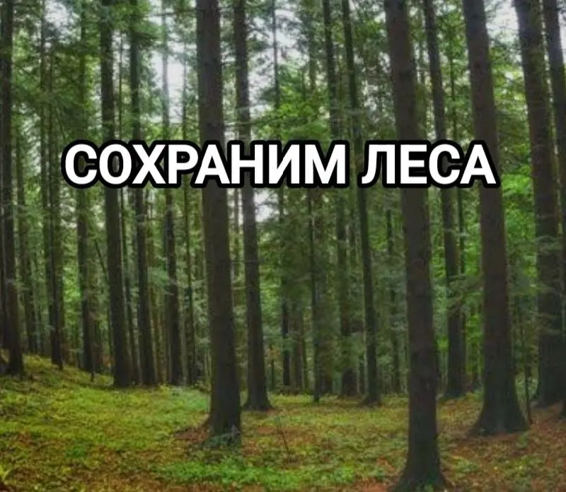 ‼️‼️ВНИМАНИЕ! В МИНПРИРОДЫ ИДЕТ ОБЩЕСТВЕННОЕ ОБСУЖДЕНИЕ ЗАКОНОПРОЕКТА ПО ЗАЧИСТКЕ ЛЕСОВ😡
ВСЕ, КТО ПРОТИВ УНИЧТОЖЕНИЯ ЛЕСОВ НАШЕЙ СТРАНЫ - ПРОСЬБА ЗАЙТИ НА САЙТ И ПОСТАВИТЬ ДИЗЛАЙК👎👎👎👎
🌲 ЛЕСА ХОТЯТ ОТД... | Сетка — социальная сеть от hh.ru