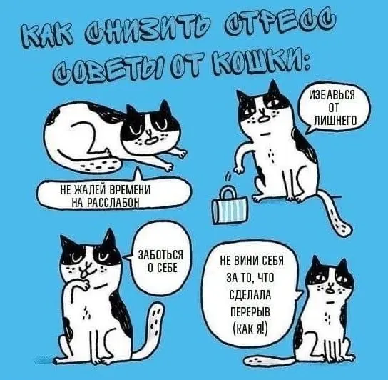 Подробная инструкция 😂
БЛОГ В ТГ / БЛОГ В MAX
#Юмор #Коты
В этом посте были ссылки, но мы их удалили по правилам Сетки | Сетка — социальная сеть от hh.ru