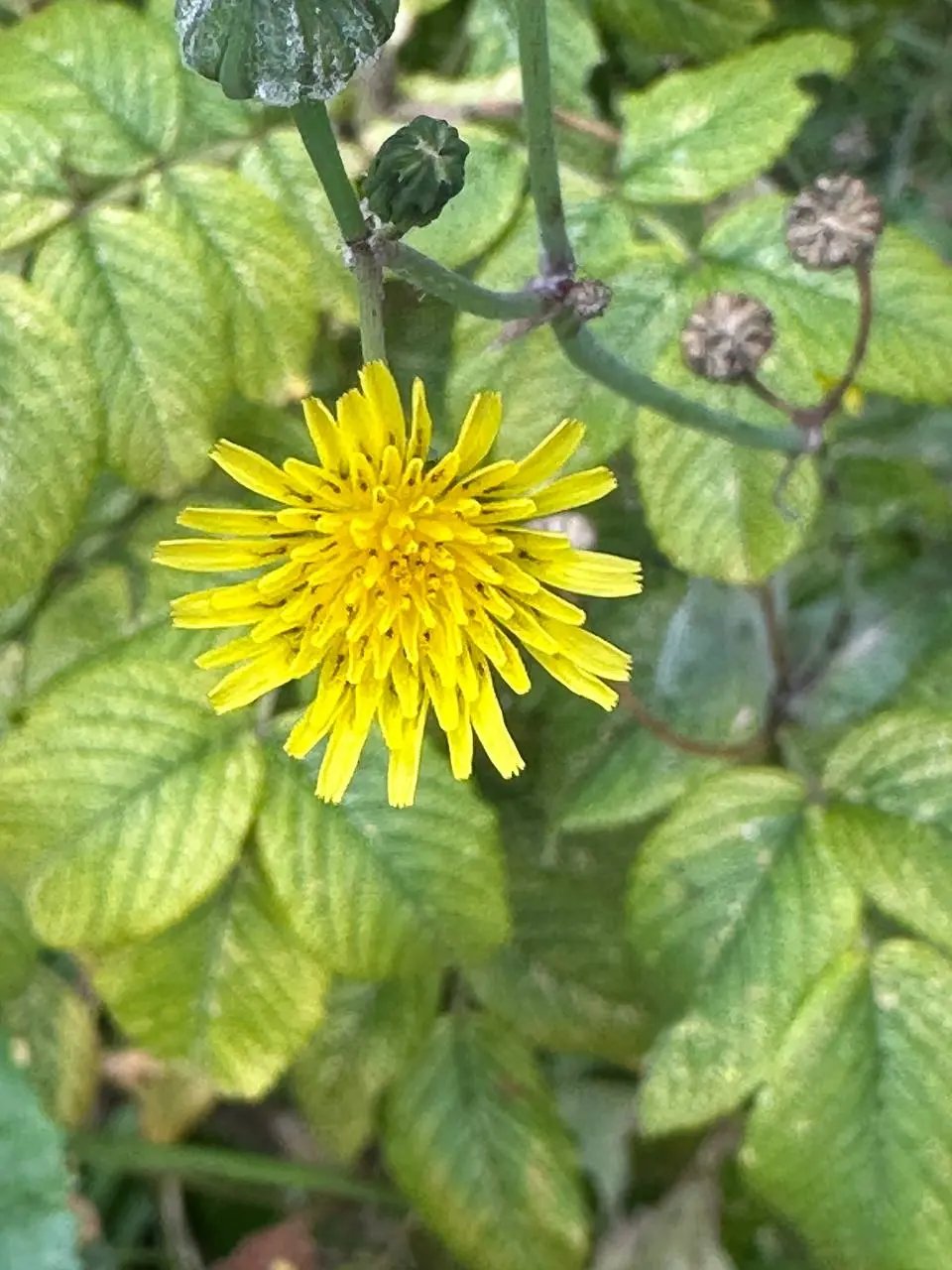 ☀️Утро. Живём.
Сегодня позвольте дню удивить вас. Не планируйте каждую минуту. Оставьте немного места для непредвиденного.
🌱 | Сетка — социальная сеть от hh.ru
