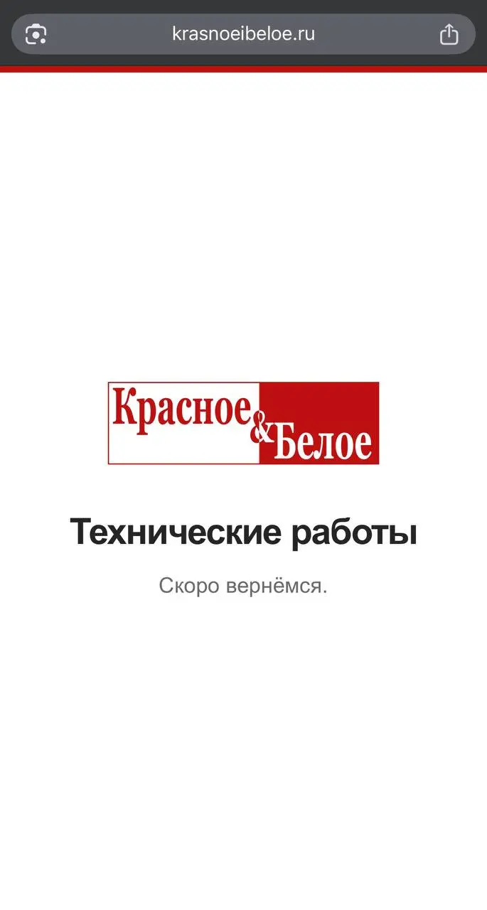 🤔Ой! Это вам не рекламные сервисы Яндекса — тут по-настоящему значимые интересы общества | Сетка — социальная сеть от hh.ru