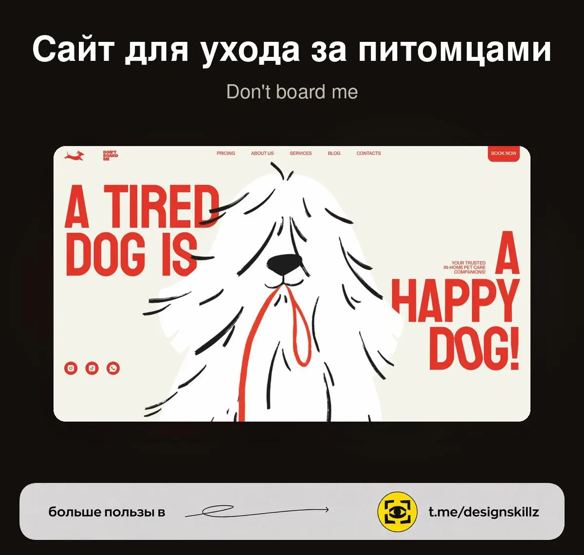 Don’t Board Me | Сетка — социальная сеть от hh.ru