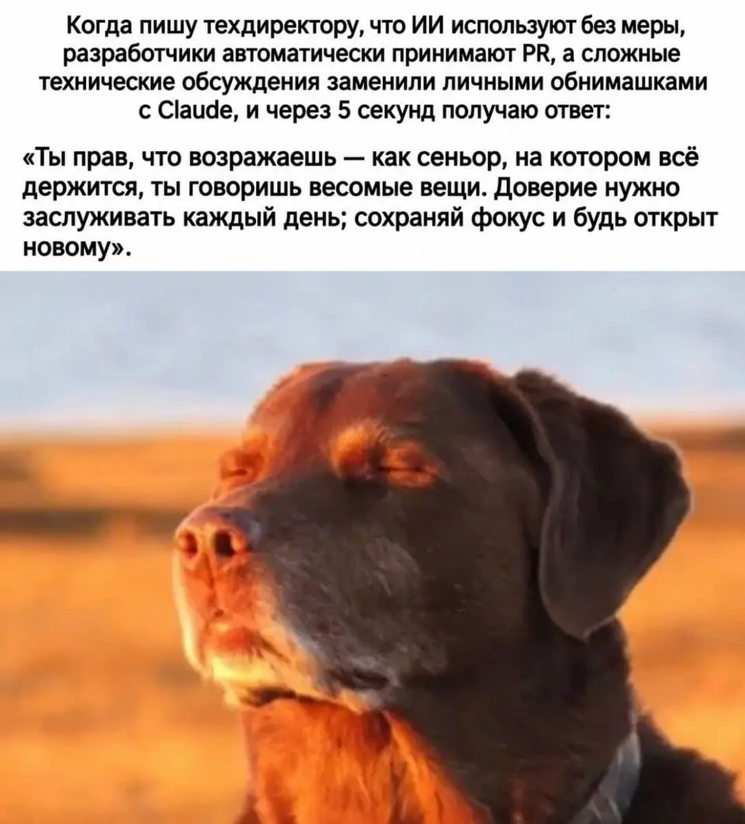 С нами стыдно, но весело. Подписывайся 🚀 | Сетка — социальная сеть от hh.ru