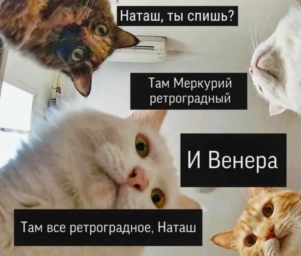 Ретро тестировщик 😃🔮🪬🍭💫 | Сетка — социальная сеть от hh.ru
