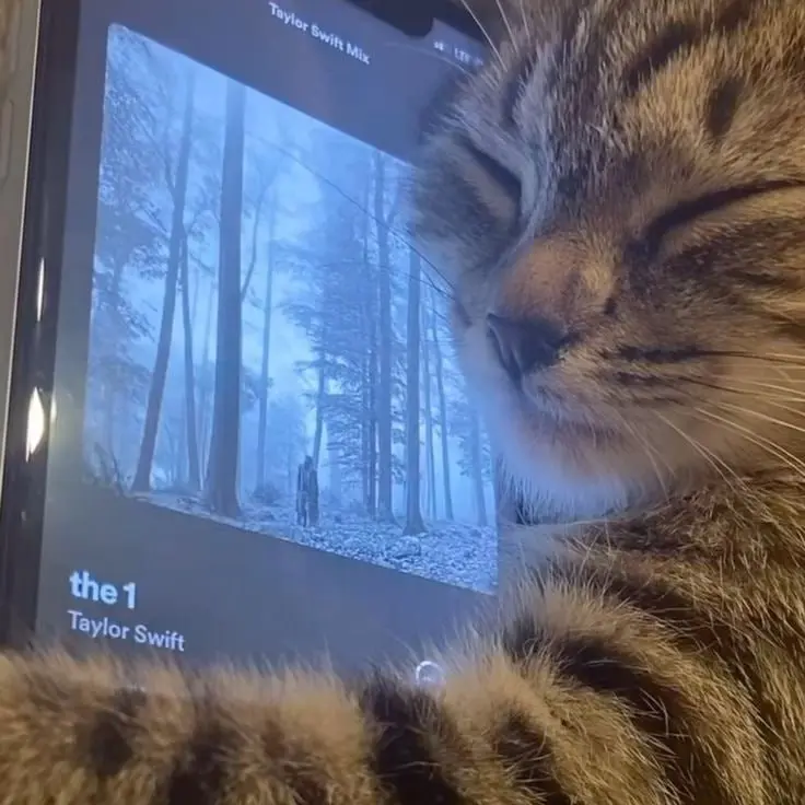 😺 Сообщество Тейлор Свифт — чему мы можем научиться
Haters gonna hate, но сообщество «свифтис» у Тейлор — впечатляющая картина | Сетка — социальная сеть от hh.ru