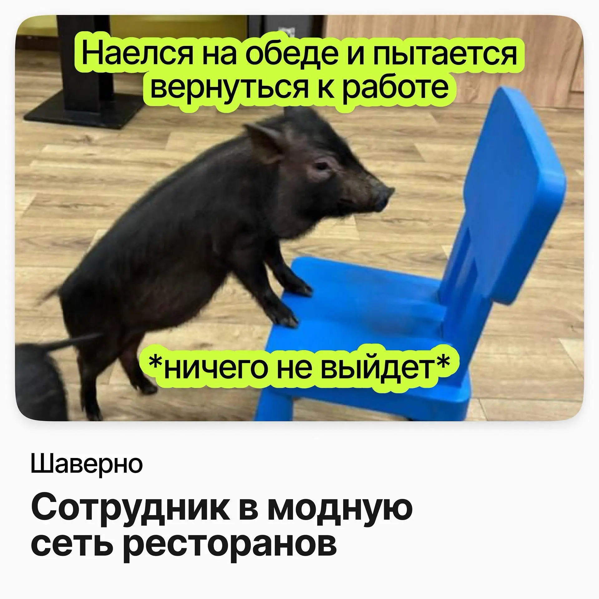 🌯 Сотрудник в модную сеть ресторанов / Шаверно
Шаверно — сеть из 55+ ресторанов шавермы в Санкт-Петербурге.
Ищут сотрудников в рестораны сети, опыт не нужен — всему обучат | Сетка — социальная сеть от hh.ru