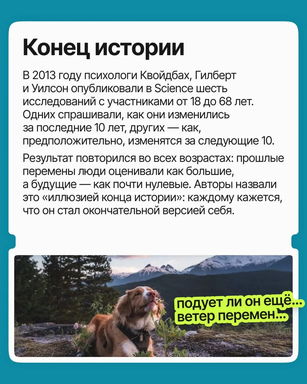 Кажется, что главные перемены уже позади: характер сложился, вкусы устоялись, профессия выбрана раз и навсегда. Психологи проверили это ощущение на тысячах людей и выяснили: оно обманчиво | Сетка — социальная сеть от hh.ru