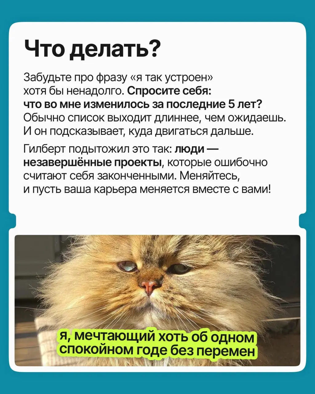 Кажется, что главные перемены уже позади: характер сложился, вкусы устоялись, профессия выбрана раз и навсегда. Психологи проверили это ощущение на тысячах людей и выяснили: оно обманчиво | Сетка — социальная сеть от hh.ru