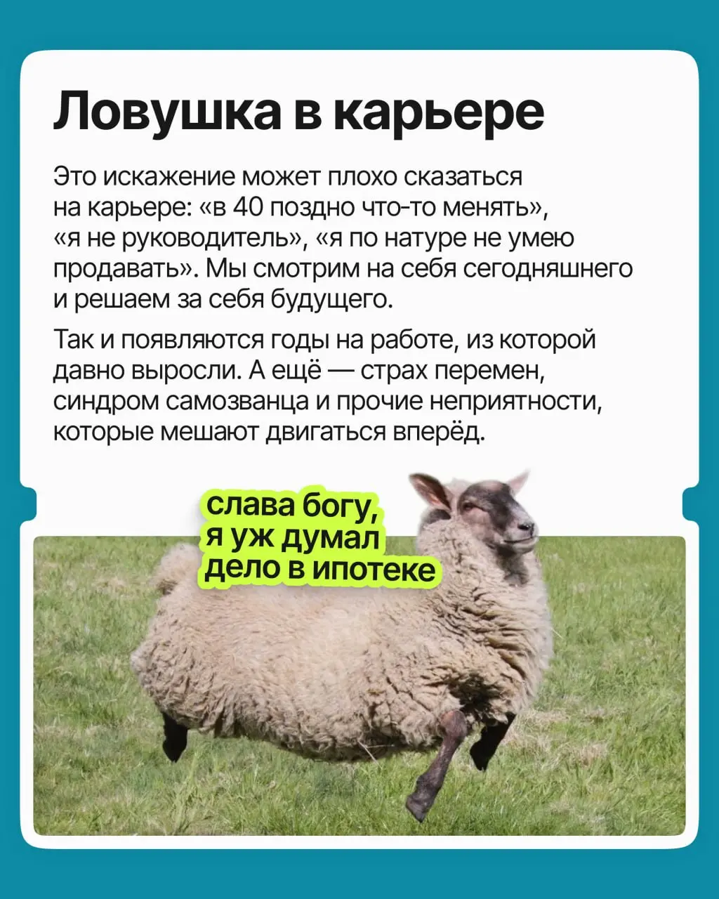 Кажется, что главные перемены уже позади: характер сложился, вкусы устоялись, профессия выбрана раз и навсегда. Психологи проверили это ощущение на тысячах людей и выяснили: оно обманчиво | Сетка — социальная сеть от hh.ru