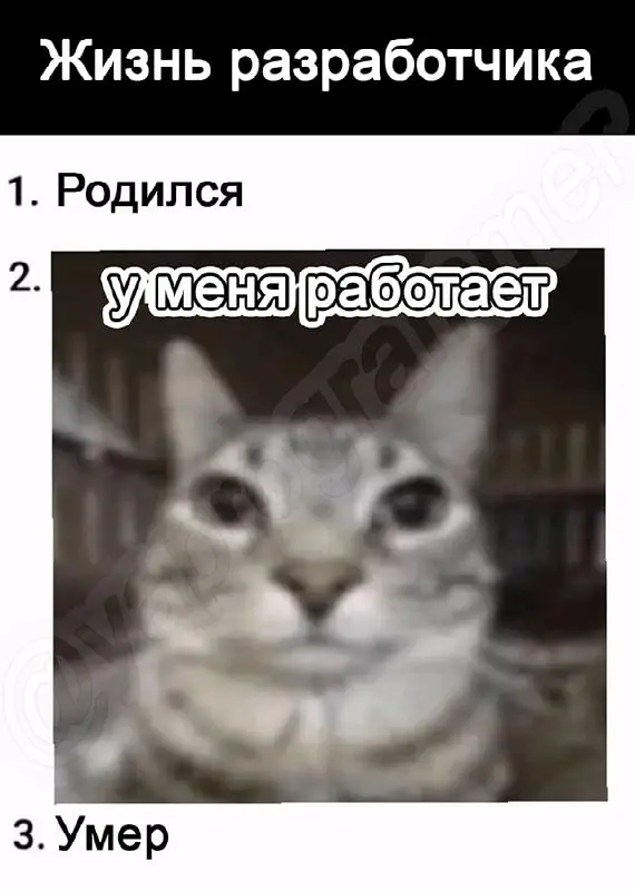 С нами стыдно, но весело. Подписывайся 💊 | Сетка — социальная сеть от hh.ru