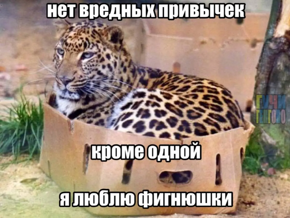 Ищу работу: день 30. | Сетка — социальная сеть от hh.ru