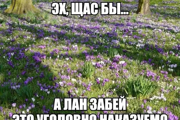 Ну что, кто сидел, обмазавшишь rector и парой ai агентов, последние две ночи?
Спойлер: не я | Сетка — социальная сеть от hh.ru