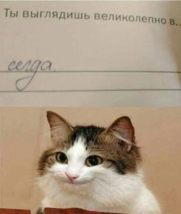 Всегда ❤️
БЛОГ В ТГ / БЛОГ В MAX
#Юмор #Коты
В этом посте были ссылки, но мы их удалили по правилам Сетки | Сетка — социальная сеть от hh.ru