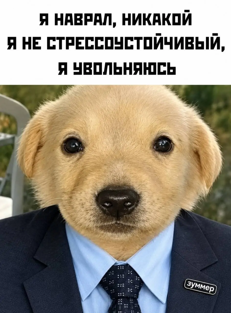 Как научить зумеров увольняться?
Коллеги, пятничный вайб!
В сфере НКО много зумеров. И мы их с радостью берём на работу | Сетка — социальная сеть от hh.ru