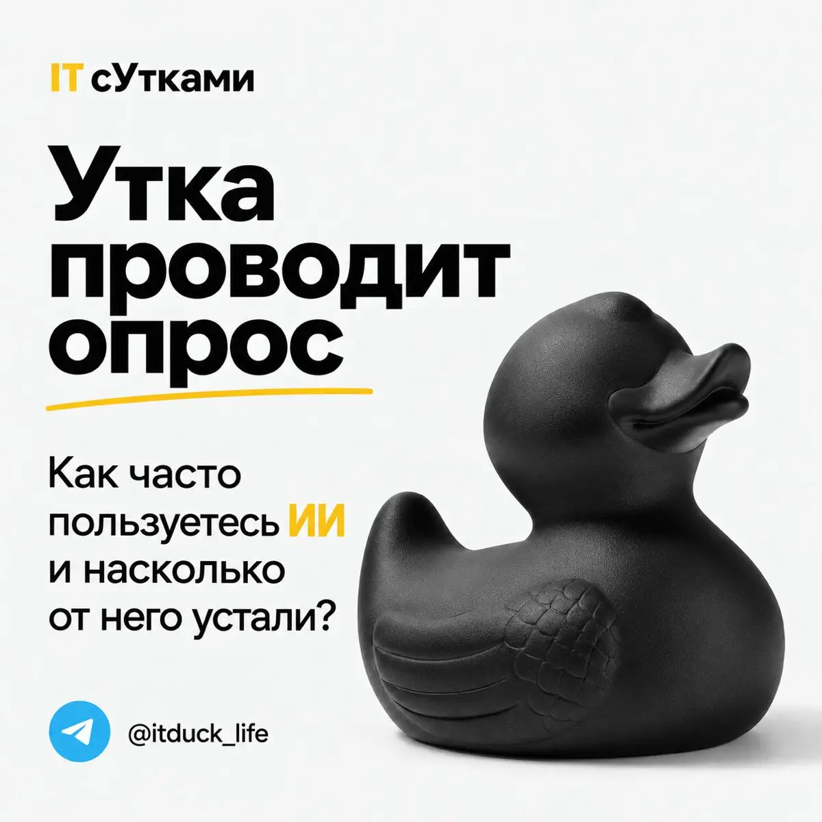 В тг-канале утка проводит опрос | Сетка — социальная сеть от hh.ru