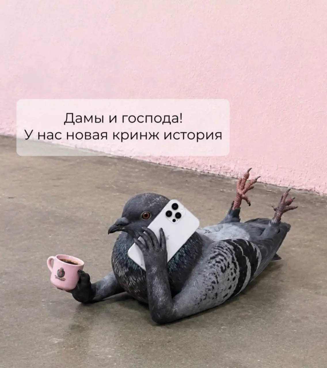 Уволили удалёнщика за молчание. Но забыли написать, когда он молчал 💻
Работодатель уволил дистанционного сотрудника за отсутствие взаимодействия | Сетка — социальная сеть от hh.ru