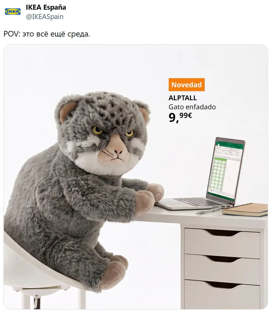 Злой манул из IKEA — точное воплощение того, как ты выглядишь на работе каждый божий день
@hrpivot | Сетка — социальная сеть от hh.ru