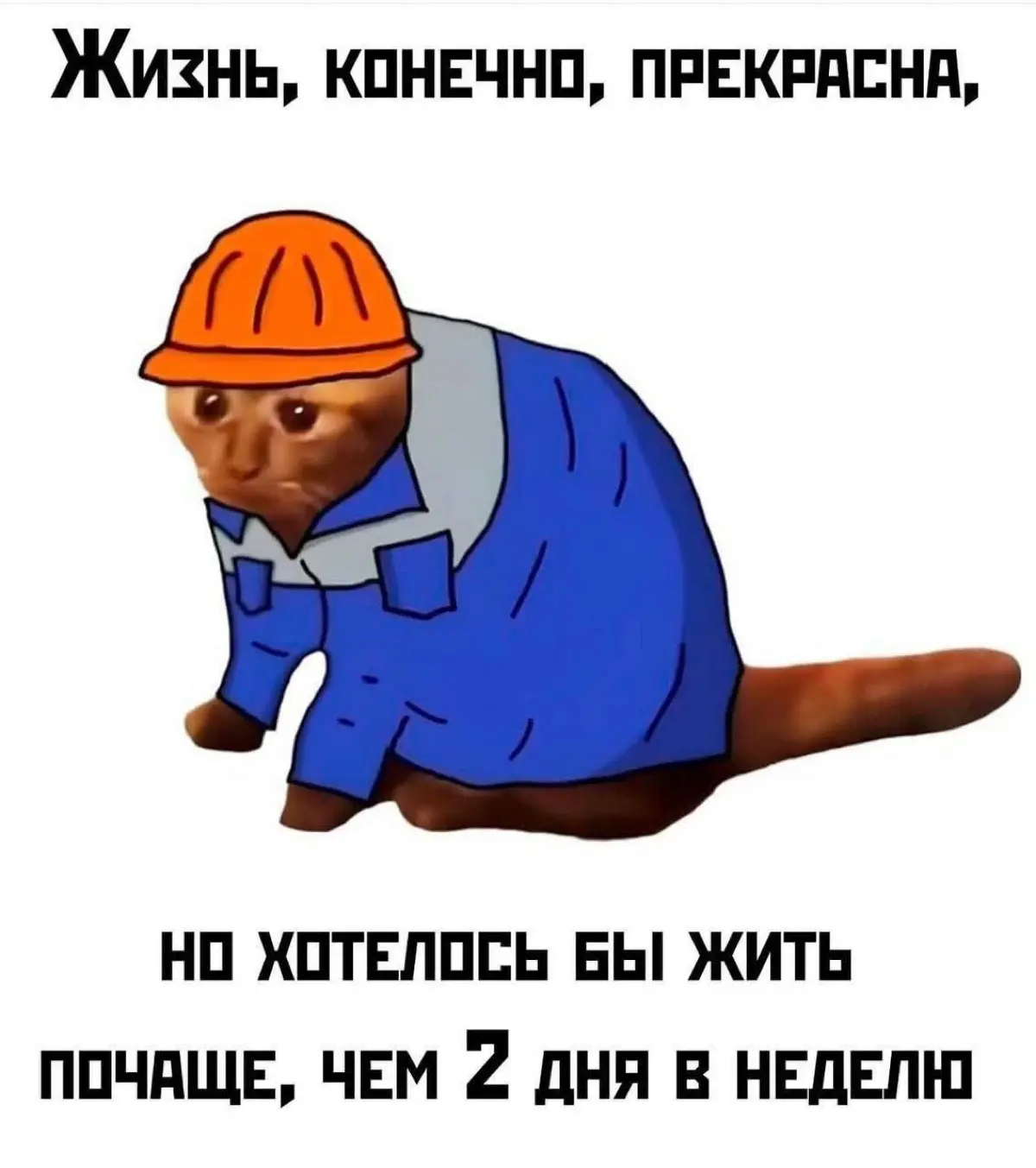 Работаю над собой. Пока над собой работает жизнь | Сетка — социальная сеть от hh.ru