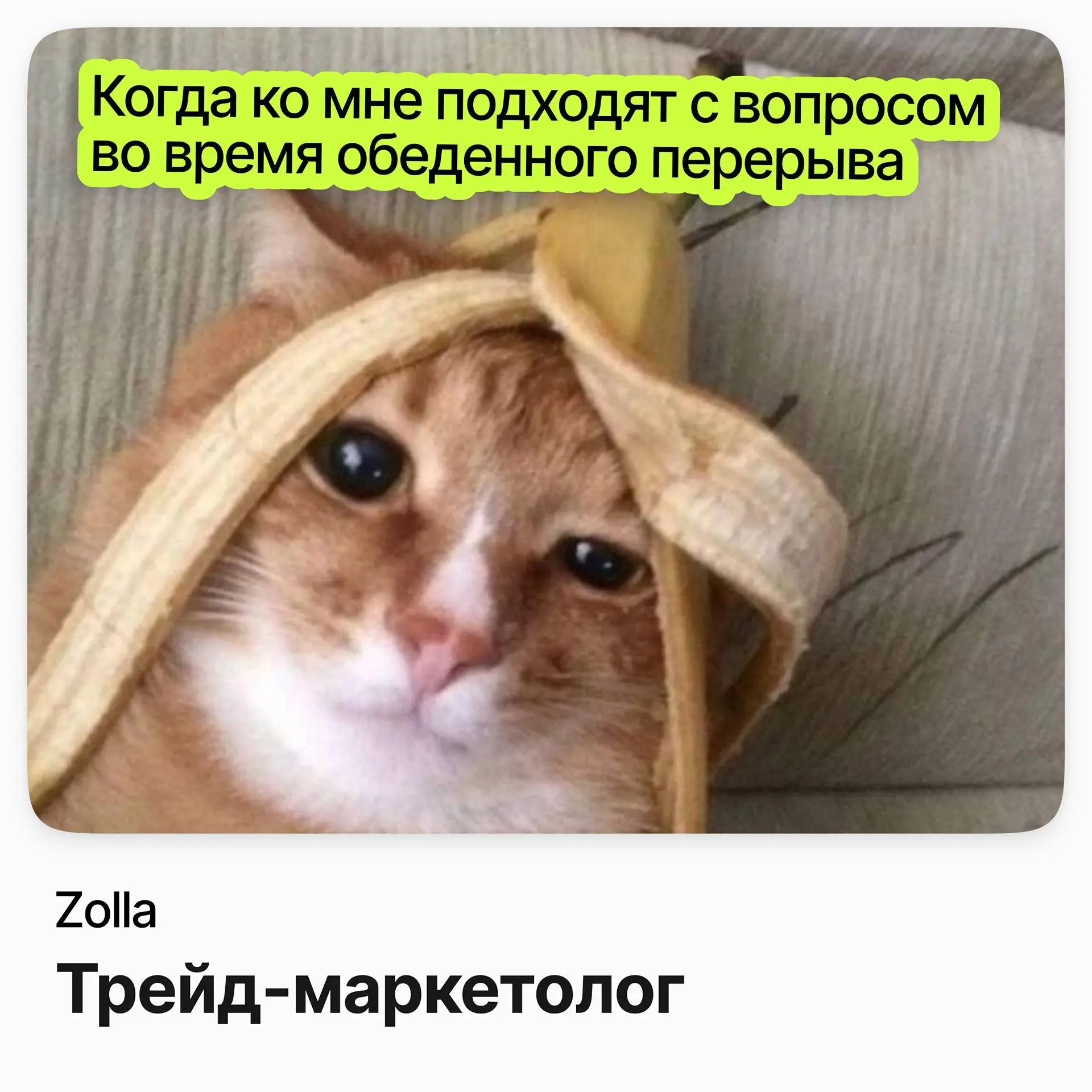 🛍️ Трейд-маркетолог / Zolla
Zolla — российский ритейлер одежды: на конец 2025 года у бренда было 457 магазинов.
Ищут трейд-маркетолога в офис компании | Сетка — социальная сеть от hh.ru