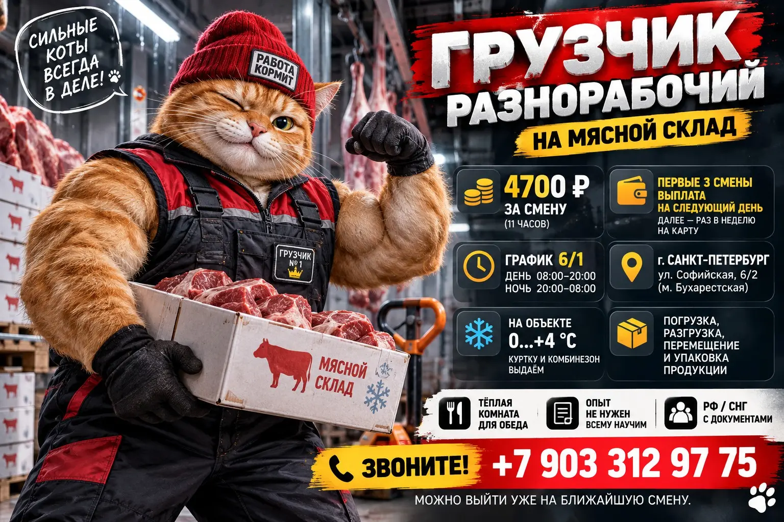 🔥 НУЖНА РАБОТА, ГДЕ НЕ ПРИДЁТСЯ ДОЛГО ЖДАТЬ ПЕРВОЙ ВЫПЛАТЫ? | Сетка — социальная сеть от hh.ru