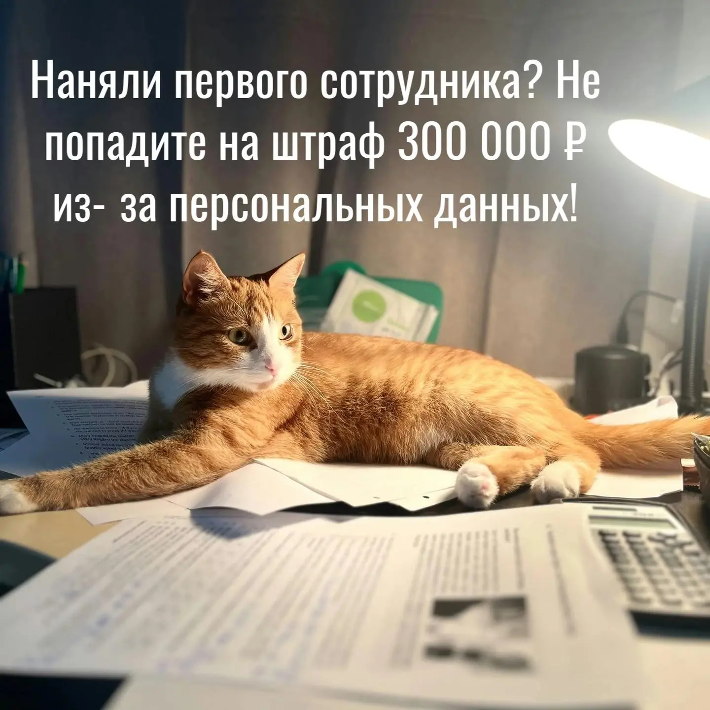 Наняли первого сотрудника? Не попадите на штраф 300 000 | Сетка — социальная сеть от hh.ru