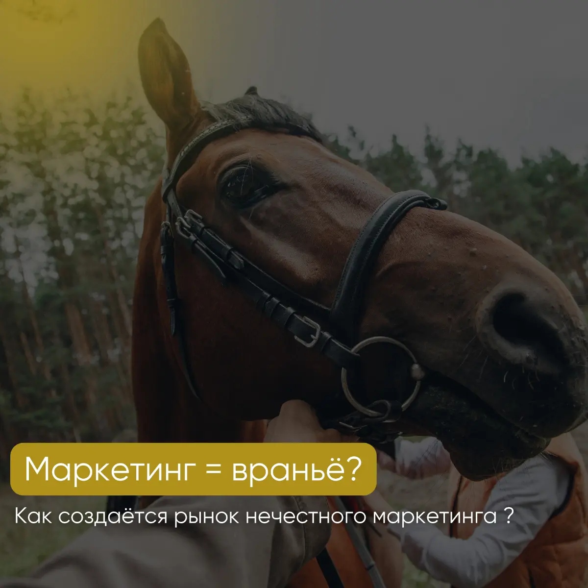 Маркетинг = враньё? | Сетка — социальная сеть от hh.ru