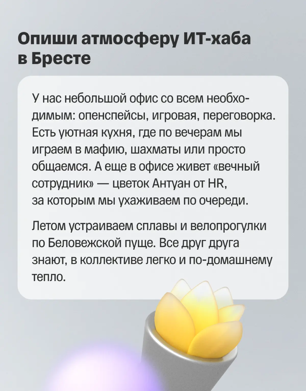 🚀 Из медицины в разработку | Сетка — социальная сеть от hh.ru