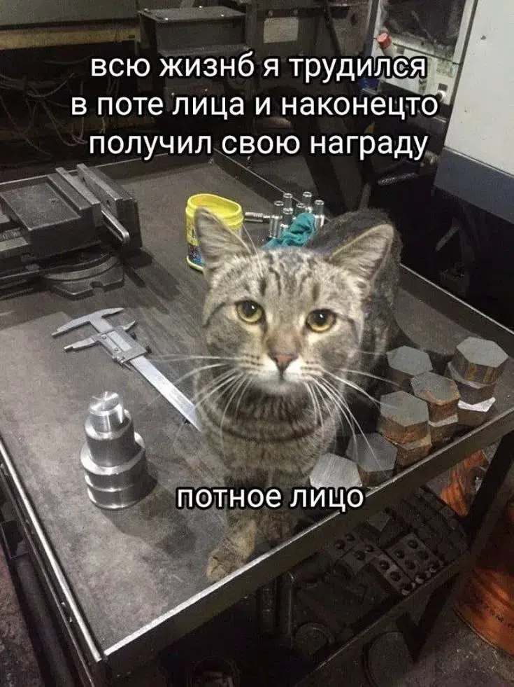 Ищу работу: день 31. | Сетка — социальная сеть от hh.ru