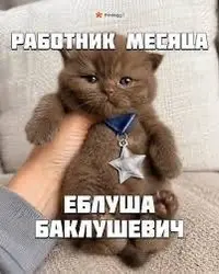 Коллеги, всем хороших выходных! | Сетка — социальная сеть от hh.ru