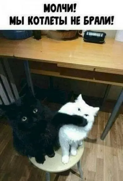 Главное настаивать на невиновности 😂
БЛОГ В ТГ / БЛОГ В MAX
#Юмор #Коты
В этом посте были ссылки, но мы их удалили по правилам Сетки | Сетка — социальная сеть от hh.ru