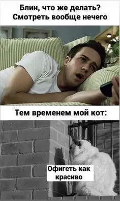 Занятие на весь день 😂
БЛОГ В ТГ / БЛОГ В MAX
#Юмор #Коты
В этом посте были ссылки, но мы их удалили по правилам Сетки | Сетка — социальная сеть от hh.ru