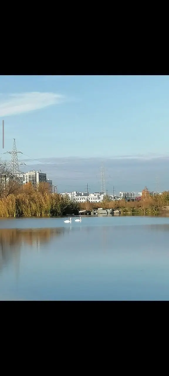 Всем привет! Воспоминания о рыбалке, буду скучать. Сезон закрыт. Очки и рюкзак от #kimoto весь сезон были верными друзьями).
Автор: Резеда Алимова | Сетка — социальная сеть от hh.ru