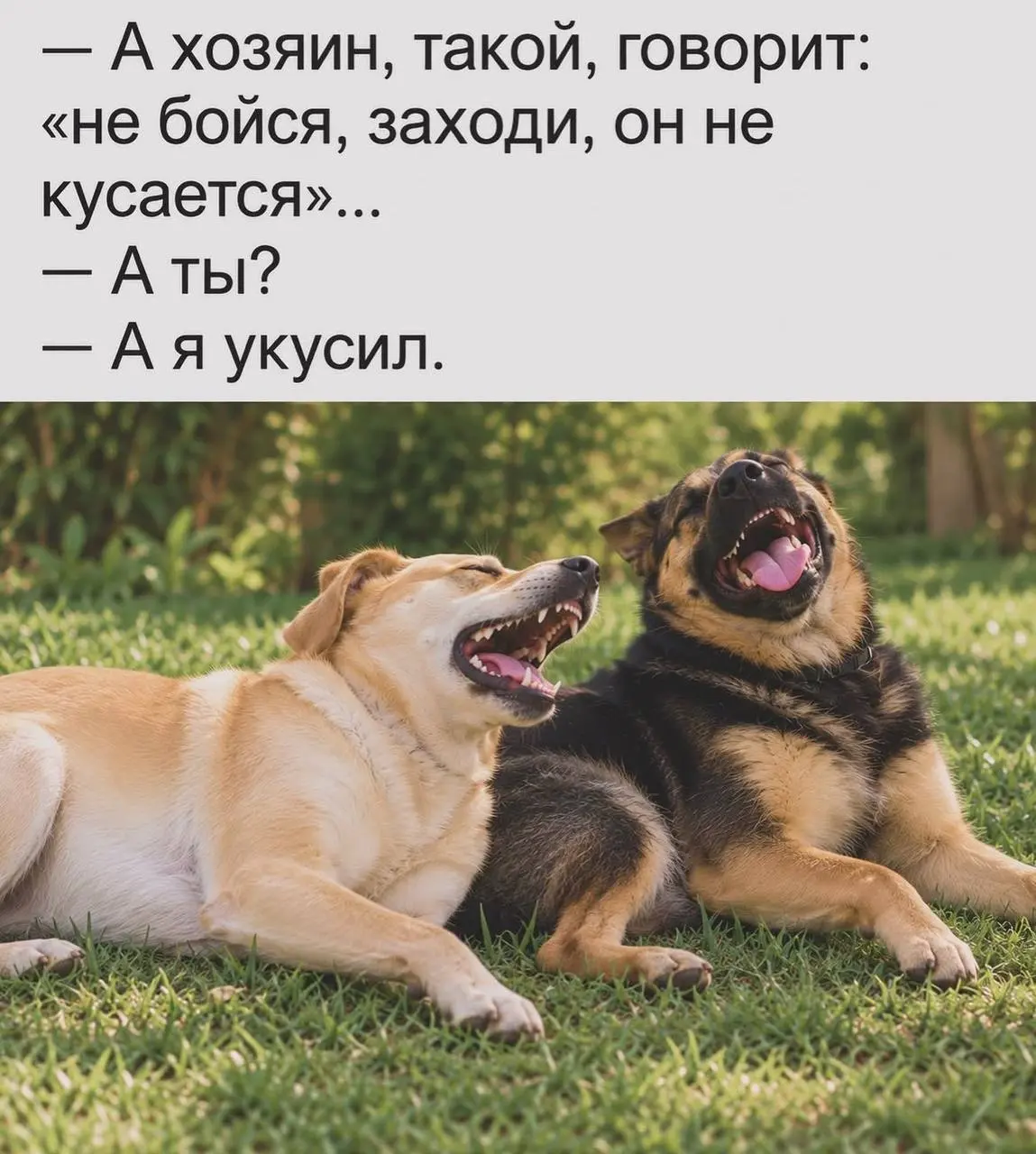 Вы просили больше веселья (мне так показалось). Иногда буду собирать подборки мемов из клуба, у нас там специальная комната для этого есть — мемошная.
#memeselected by @creativehappens | Сетка — социальная сеть от hh.ru