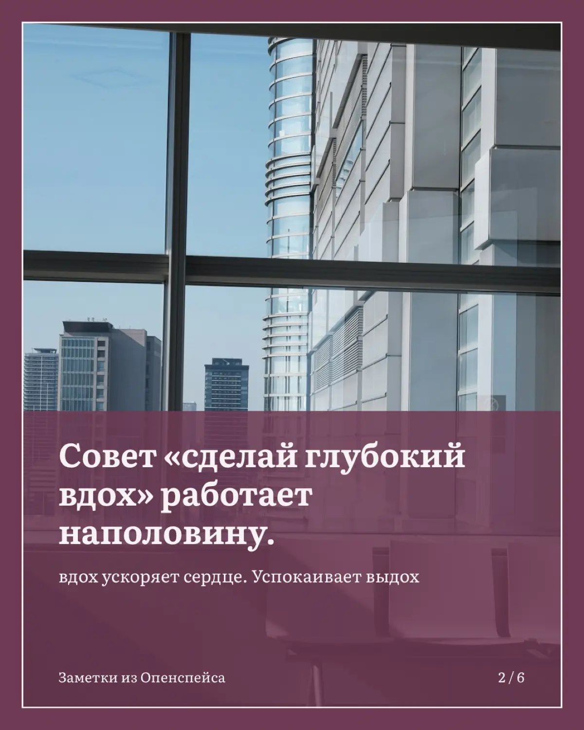 После тяжелого совещания трясет: как успокоиться за минуту | Сетка — социальная сеть от hh.ru