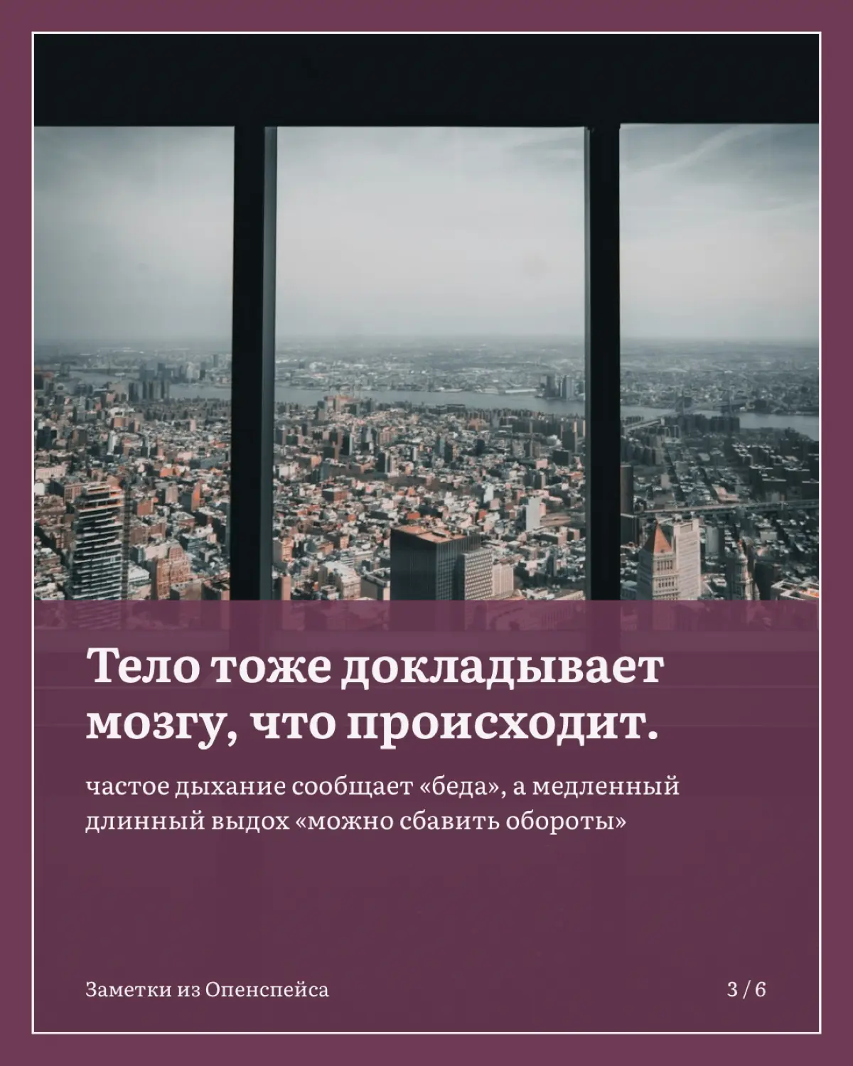 После тяжелого совещания трясет: как успокоиться за минуту | Сетка — социальная сеть от hh.ru