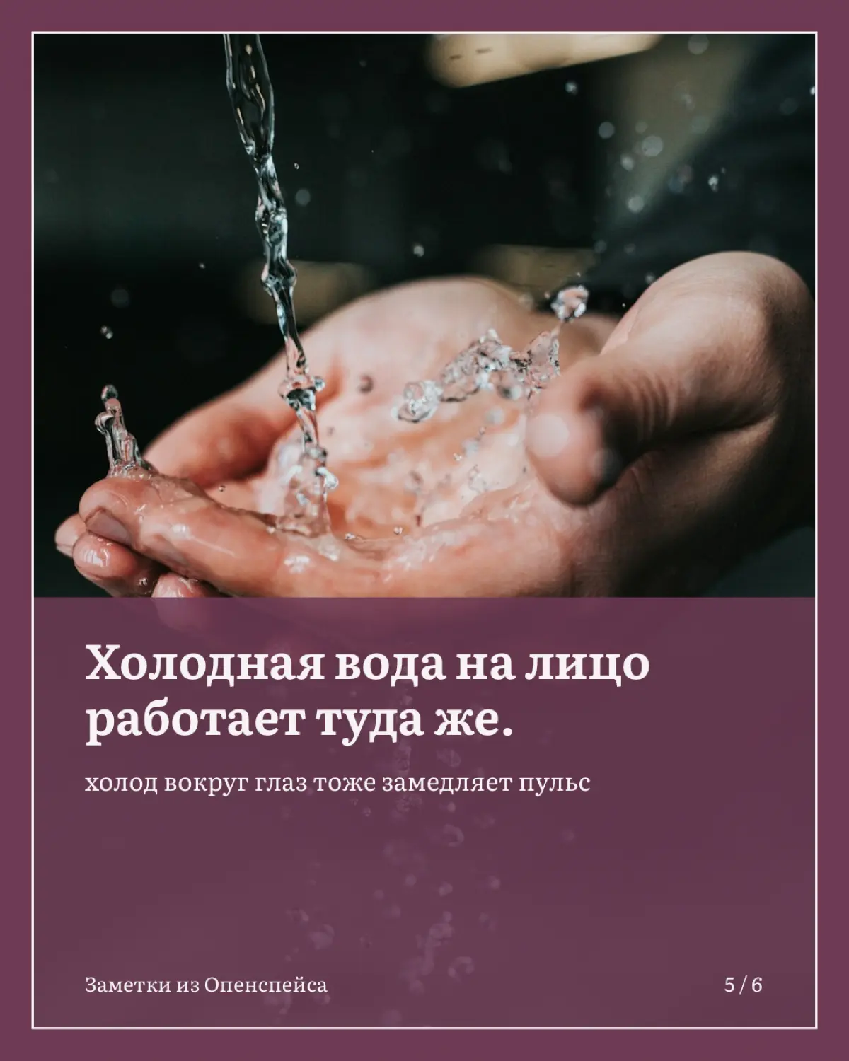После тяжелого совещания трясет: как успокоиться за минуту | Сетка — социальная сеть от hh.ru