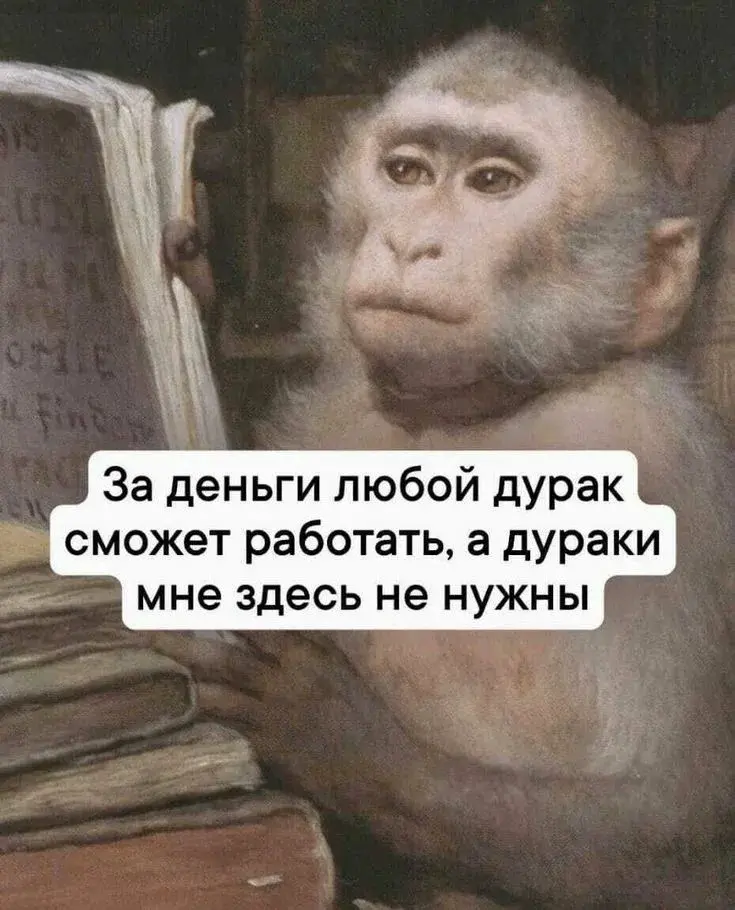 Взгляд снизу трудового стажа. 2 | Сетка — социальная сеть от hh.ru