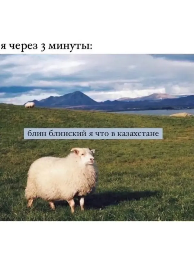 Ищу работу: день 32. | Сетка — социальная сеть от hh.ru