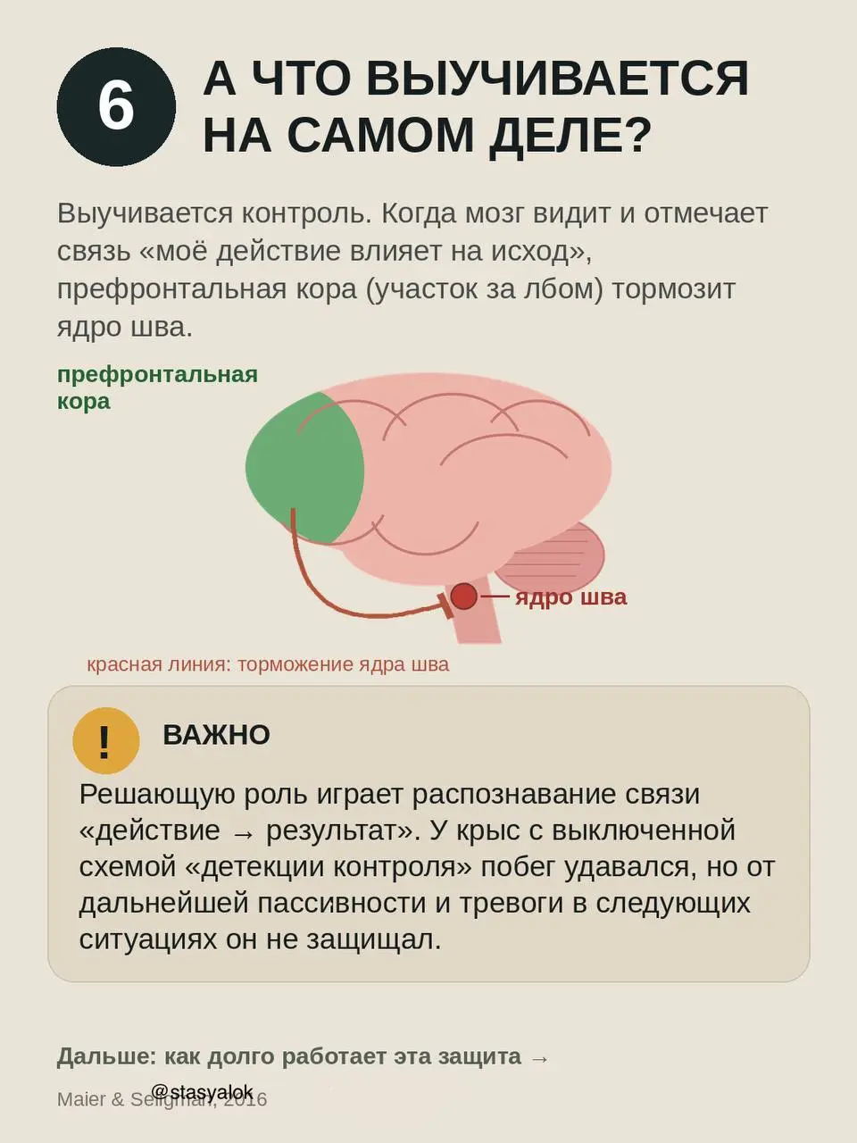 Выученная беспомощность: мы поняли её наоборот?
Классический опыт 1967 года: собак бьют током в гамаке. Одни могут остановить удар, нажав носом на панель | Сетка — социальная сеть от hh.ru