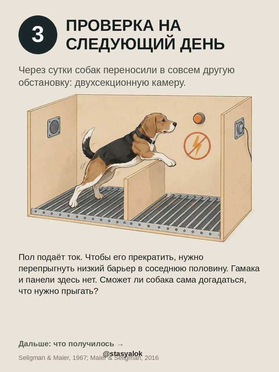 Выученная беспомощность: мы поняли её наоборот?
Классический опыт 1967 года: собак бьют током в гамаке. Одни могут остановить удар, нажав носом на панель | Сетка — социальная сеть от hh.ru